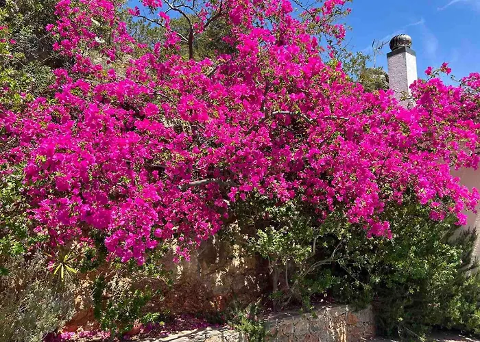 Fissi Villas Agritourism Accommodation Near The Sea